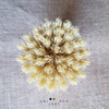 Brosses à vaisselle végétales écologiques et naturelles. Une brosse aux fibres d'agave sisal, ces fibres sont claires et assez souples. Une autre brosse aux fibres de coco, celles-ci plus foncées et plus robustes. La poignée ergonomique de ces deux brosses est en bambou naturel. Le logo a été inscrit au laser, aucune encre n'a été utilisée.  Respectueuses de l'environnement ces brosses à casseroles, poêles, grille de barbecue sont fabriquées à partir de matières premières renouvelables.