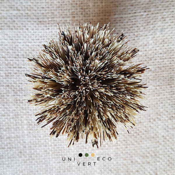 Brosses à vaisselle végétales écologiques et naturelles. Une brosse aux fibres d'agave sisal, ces fibres sont claires et assez souples. Une autre brosse aux fibres de coco, celles-ci plus foncées et plus robustes. La poignée ergonomique de ces deux brosses est en bambou naturel. Le logo a été inscrit au laser, aucune encre n'a été utilisée.  Respectueuses de l'environnement ces brosses à casseroles, poêles, grille de barbecue sont fabriquées à partir de matières premières renouvelables.